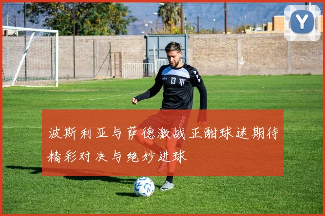 波斯利亚与萨德激战正酣球迷期待精彩对决与绝妙进球