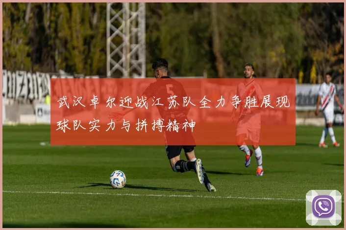 武汉卓尔迎战江苏队全力争胜展现球队实力与拼搏精神
