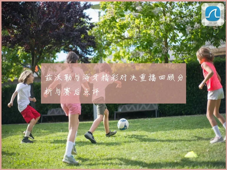 兹沃勒与海牙精彩对决重播回顾分析与赛后点评