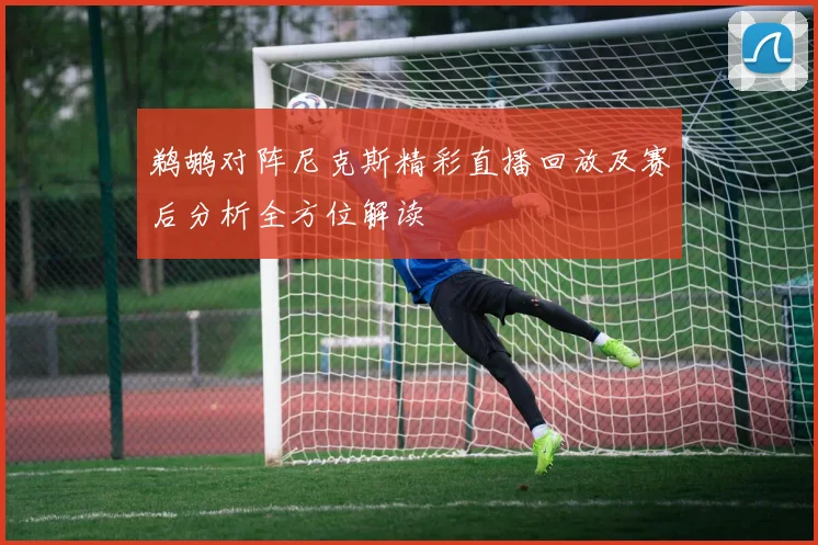 鹈鹕对阵尼克斯精彩直播回放及赛后分析全方位解读