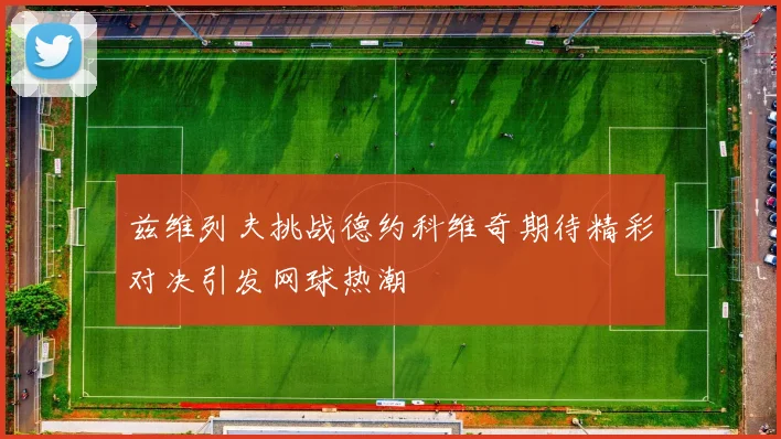 兹维列夫挑战德约科维奇期待精彩对决引发网球热潮