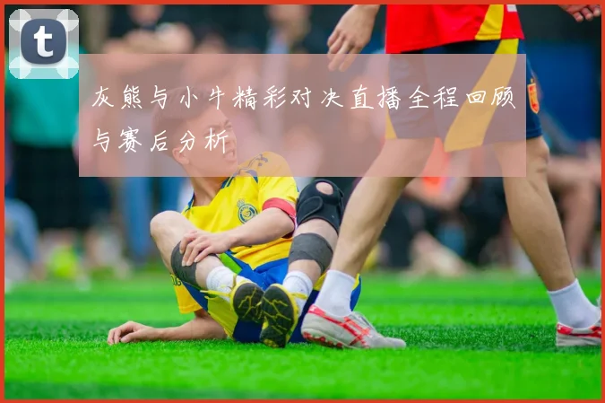 灰熊与小牛精彩对决直播全程回顾与赛后分析