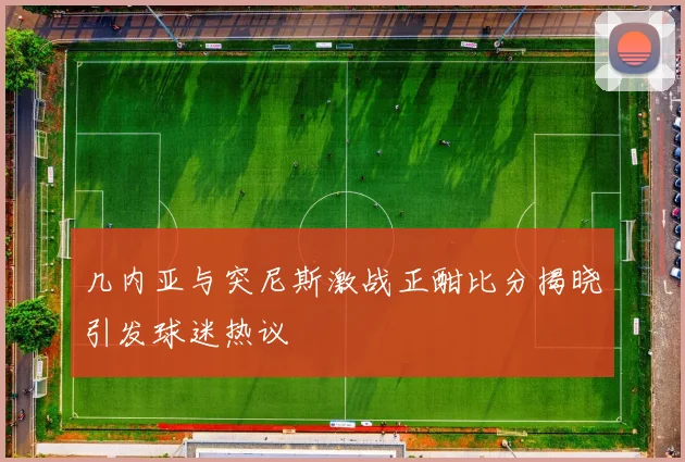 几内亚与突尼斯激战正酣比分揭晓引发球迷热议